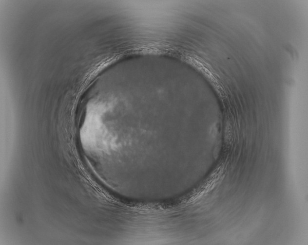 X0000112070673200908111433