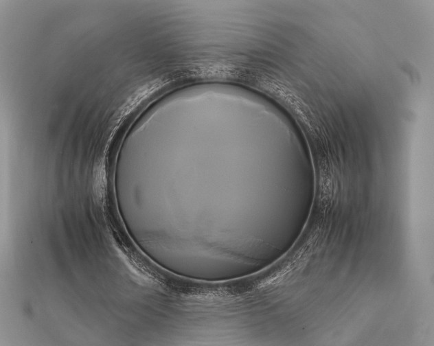 X0000112070674200908111433