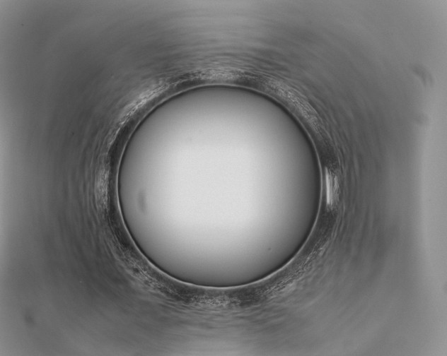 X0000112070675200908111433