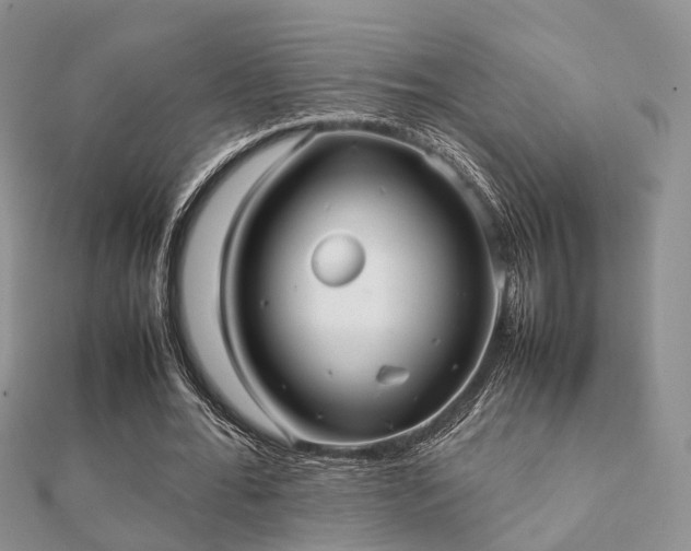 X0000112070676200908111433