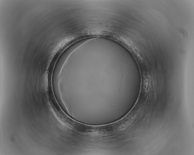 X0000112070678200908111433