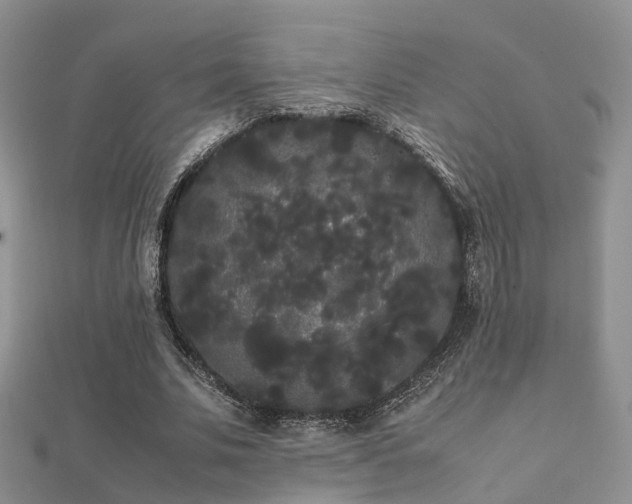 X0000112070679200908111433