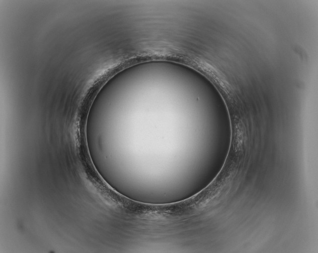 X0000112070680200908111433