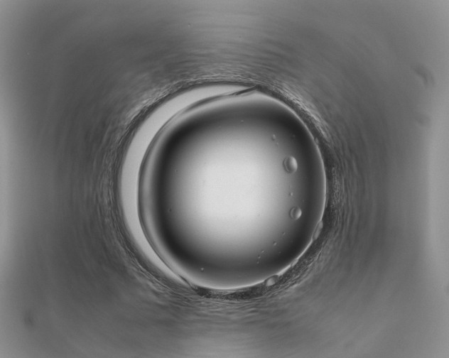 X0000112070681200908111433