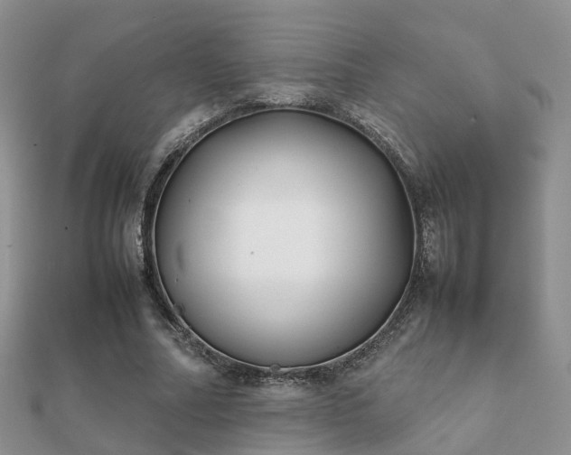 X0000112070682200908111433