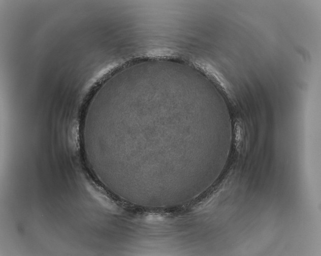 X0000112070684200908111433