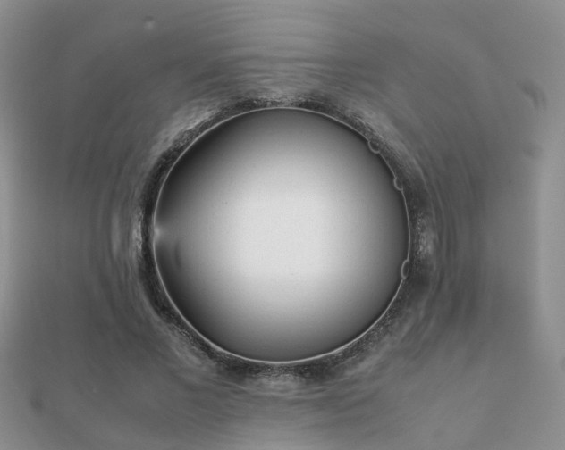 X0000112070685200908111433