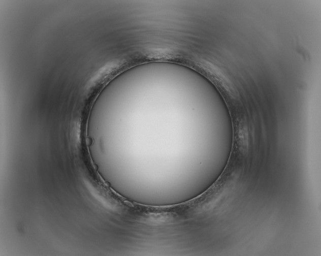 X0000112070686200908111433