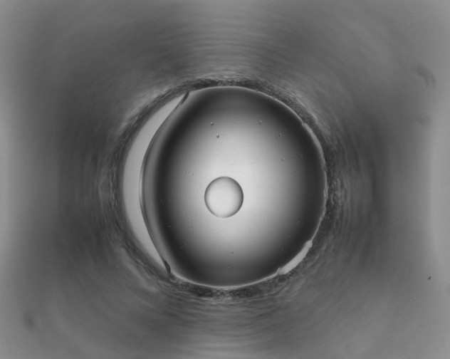 X0000112070688200908111433