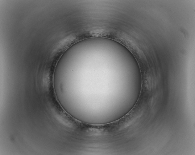 X0000112070690200908111433