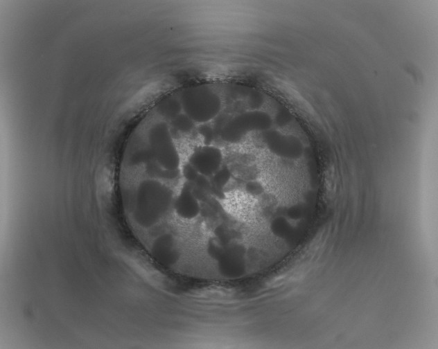 X0000112070691200908111433