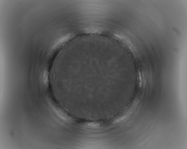 X0000112070692200908111433