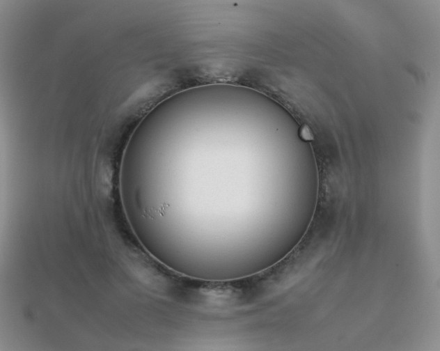 X0000112070693200908111433