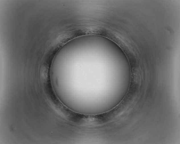 X0000112070695200908111433