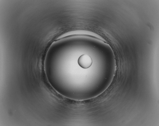 X0000112070696200908111433