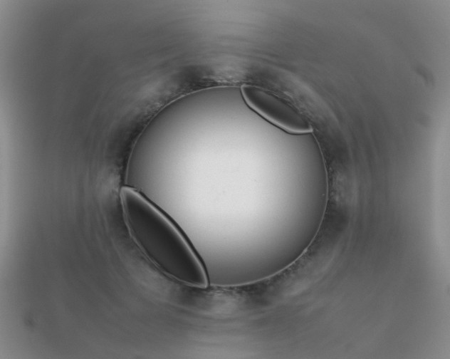 X0000112070697200908111433