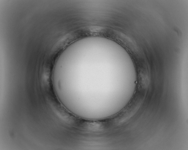 X0000112070698200908111433