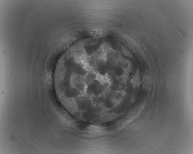 X0000112070699200908111433