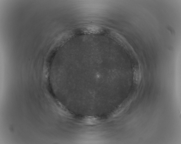 X0000112070701200908111433