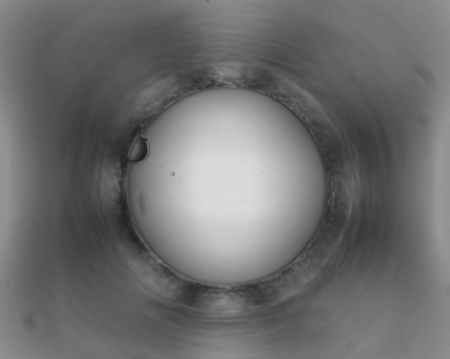 X0000112070702200908111433