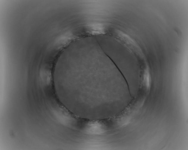 X0000112070704200908111433