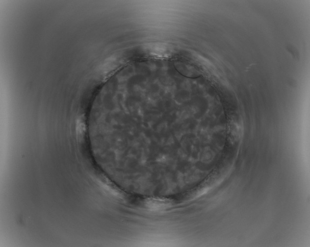 X0000112070707200908111433