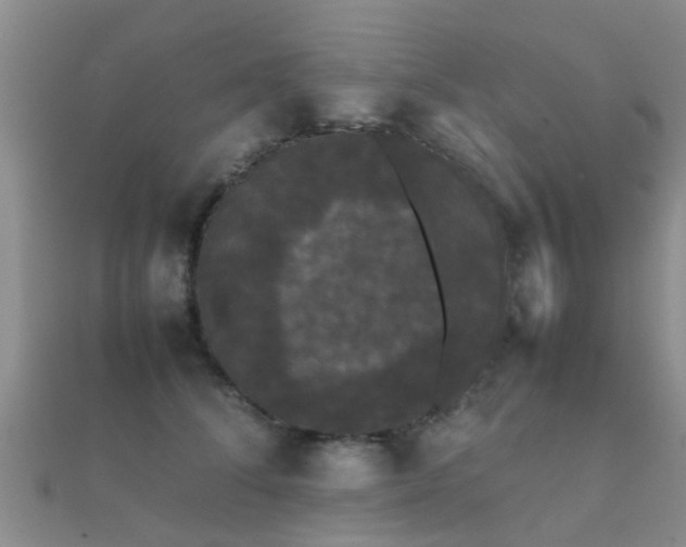 X0000112070708200908111433