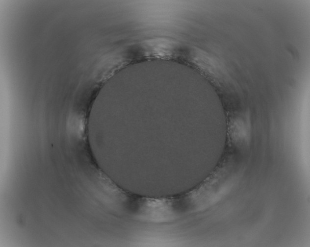 X0000112070709200908111433