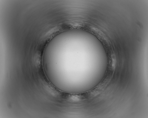 X0000112070710200908111433