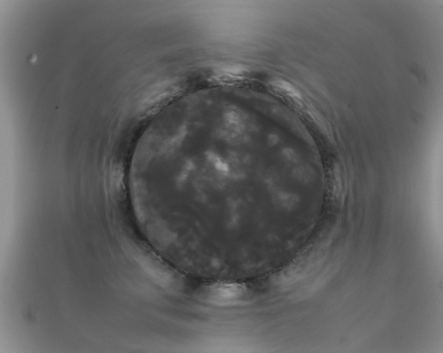 X0000112070711200908111433