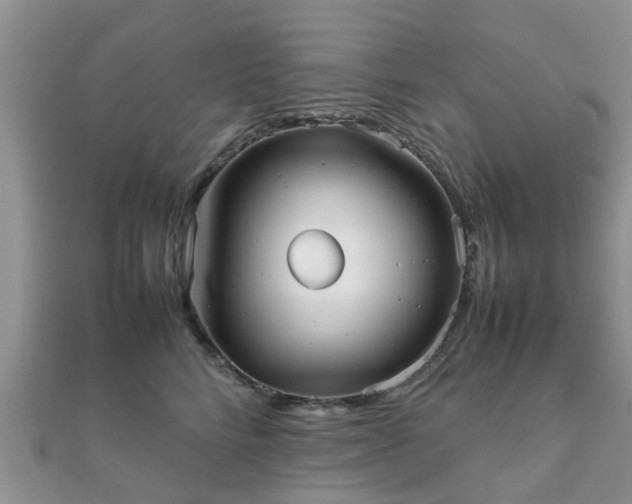 X0000112070712200908111433