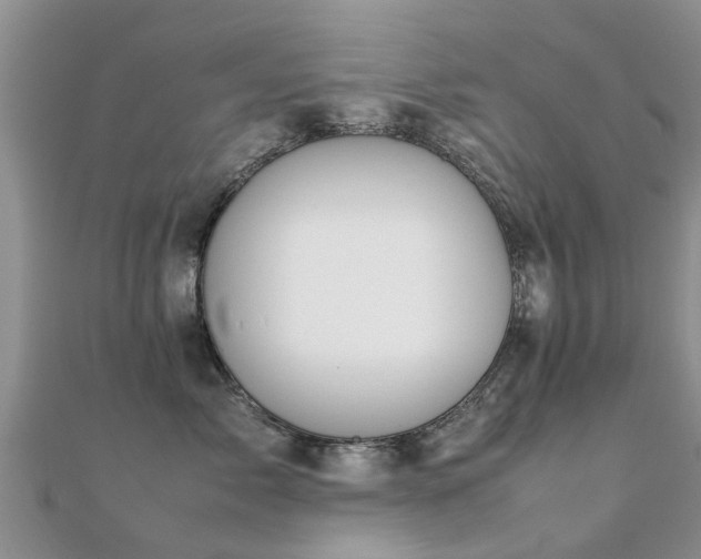 X0000112070717200908111433