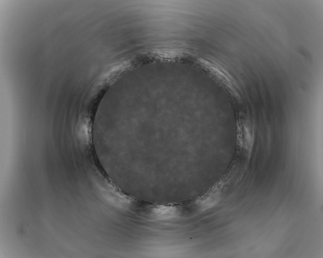 X0000112070718200908111433