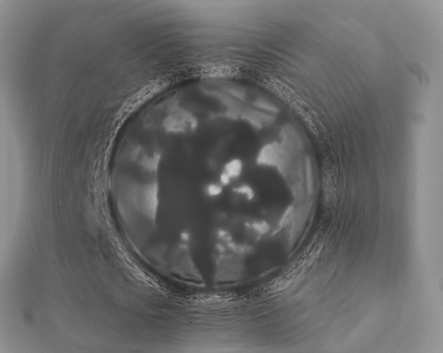 X0000112070721200908111432