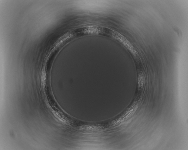 X0000112070722200908111432