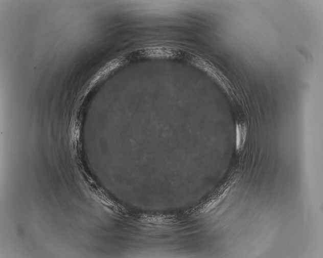 X0000112070723200908111432