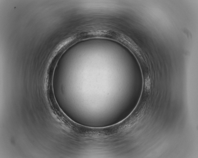 X0000112070724200908111432