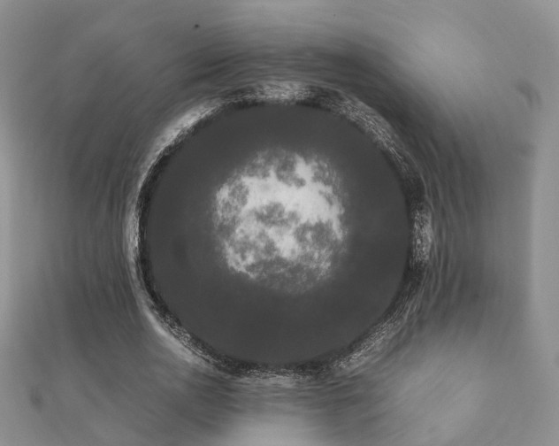 X0000112070726200908111432