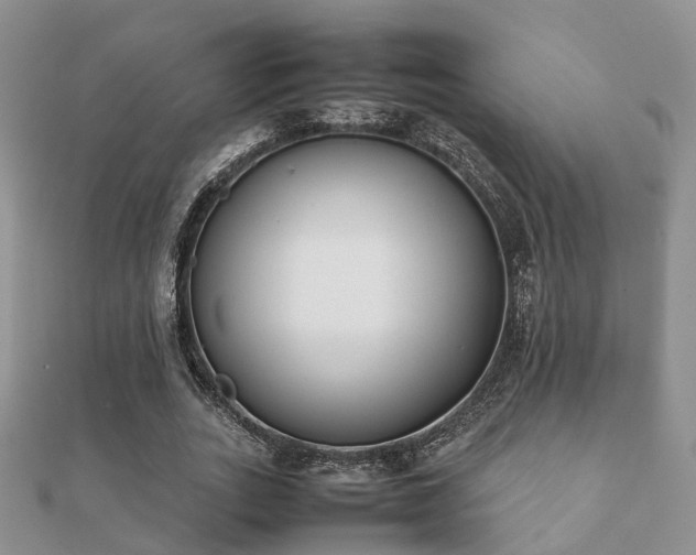 X0000112070727200908111432