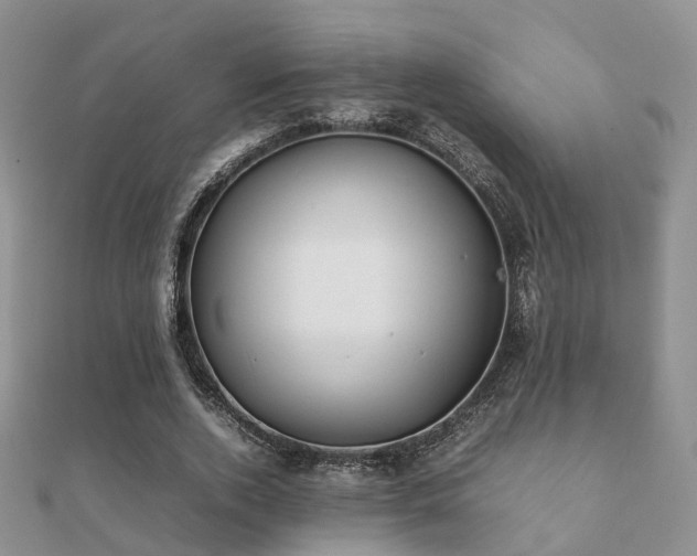 X0000112070728200908111432