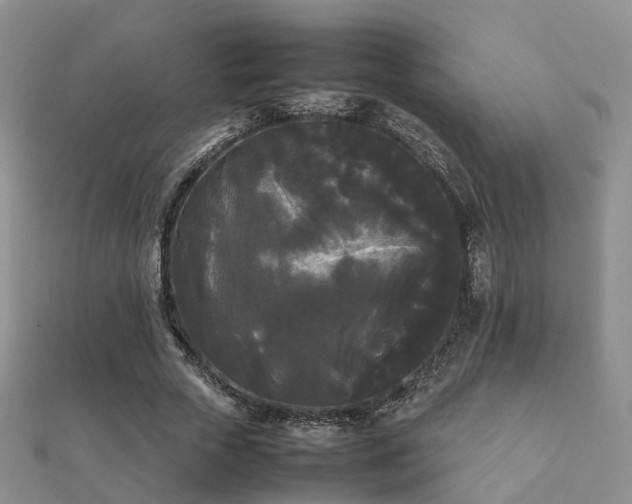 X0000112070729200908111432