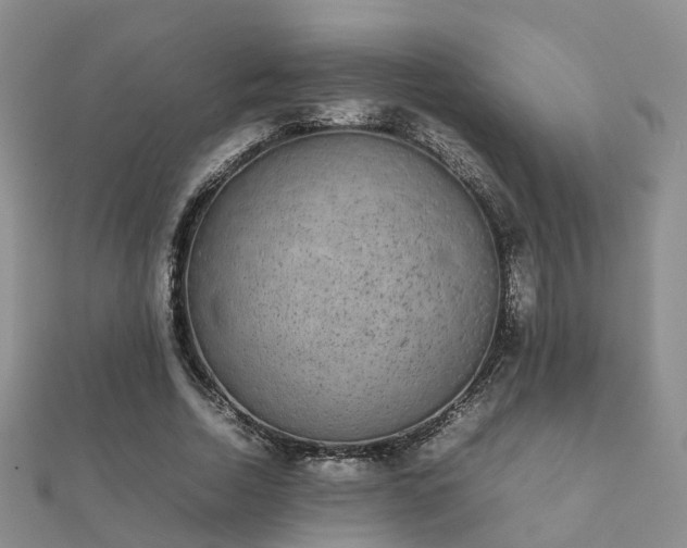 X0000112070730200908111432