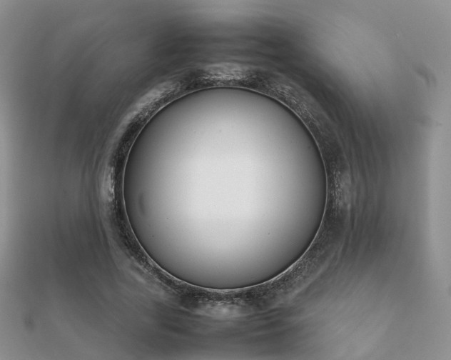 X0000112070731200908111432