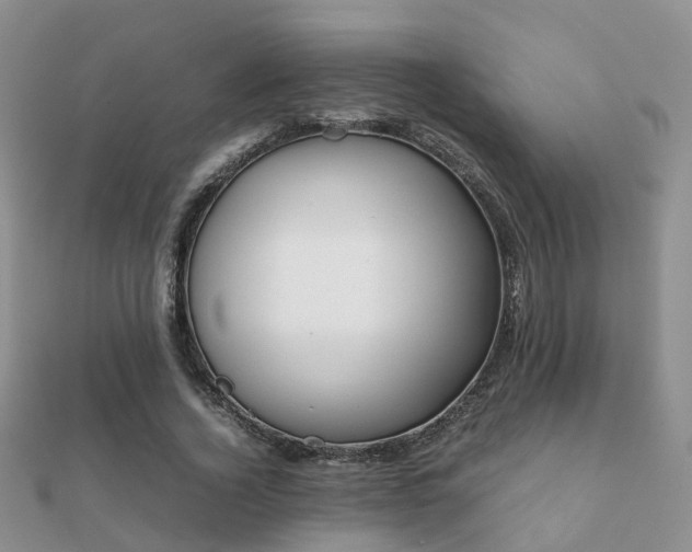 X0000112070732200908111432