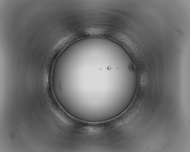 X0000112070733200908111432