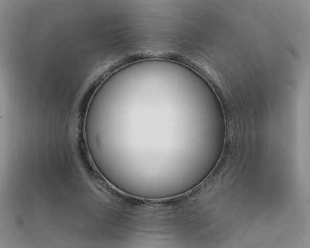 X0000112070736200908111432