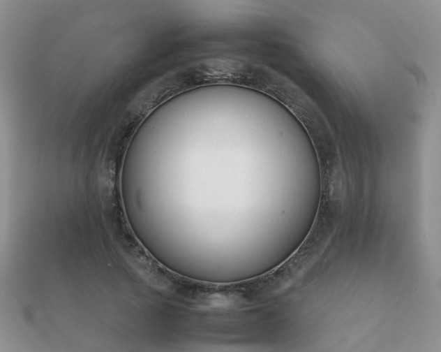 X0000112070737200908111432