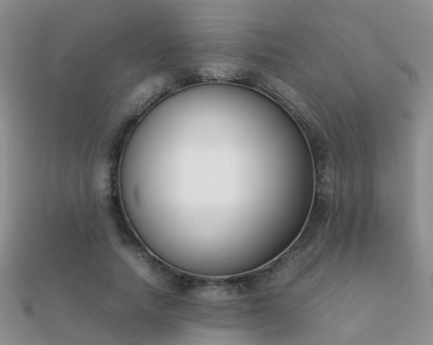 X0000112070738200908111432