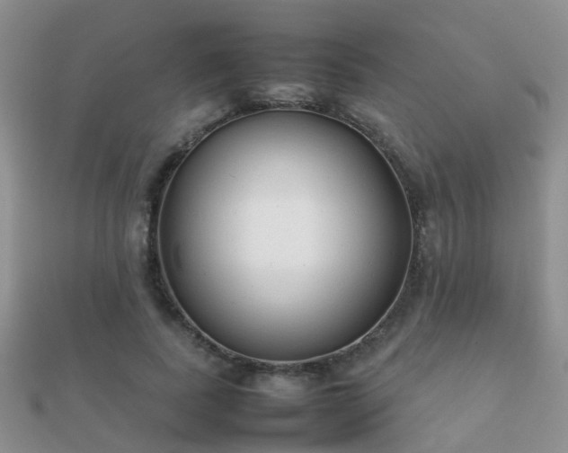 X0000112070739200908111432