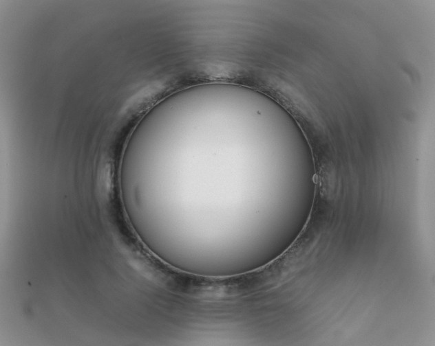 X0000112070740200908111432